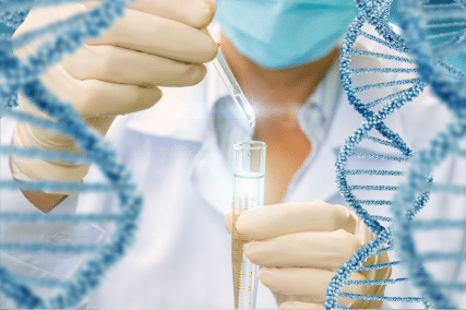 THE IMPACT OF DNA EVIDENCE ON MODERN CRIMINAL INVESTIGATIONS